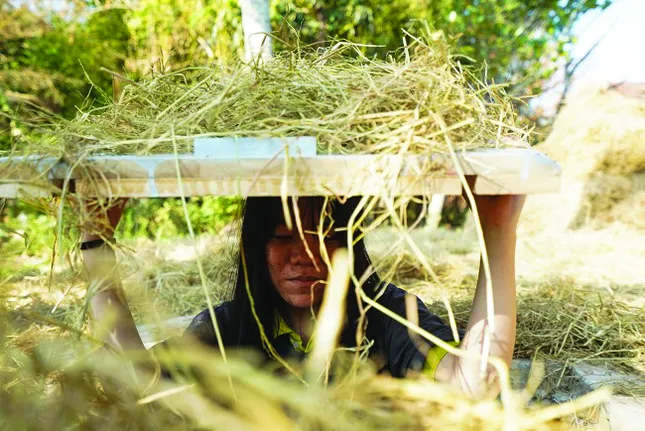 'Tua du lịch đặc biệt về Biệt động Sài Gòn' ảnh 1