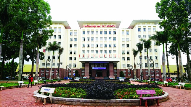 Cung ứng nguồn nhân lực chất lượng, đào tạo theo đơn đặt hàng ảnh 1