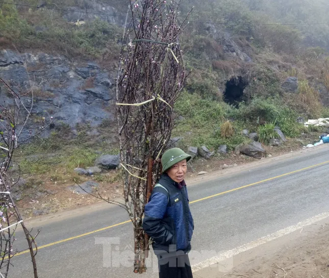 Dân buôn bỏ cuộc, người vùng cao lo mất Tết vì đào rừng khó về xuôi ảnh 3