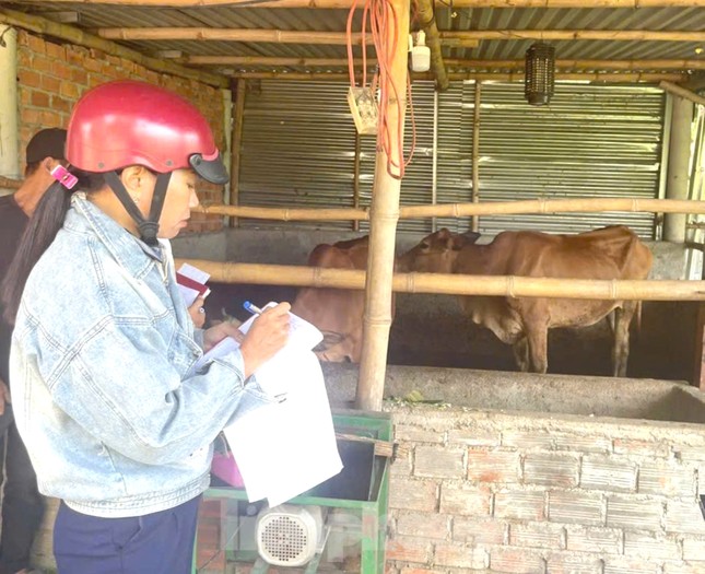 ‘Chìa khoá’ giúp bà con dân tộc thiểu số phát triển kinh tế ảnh 1