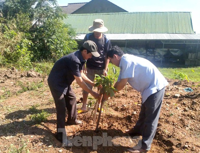‘Chìa khoá’ giúp bà con dân tộc thiểu số phát triển kinh tế ảnh 3