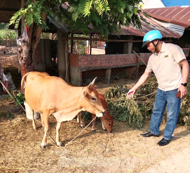 ‘Chìa khoá’ giúp bà con dân tộc thiểu số phát triển kinh tế ảnh 4