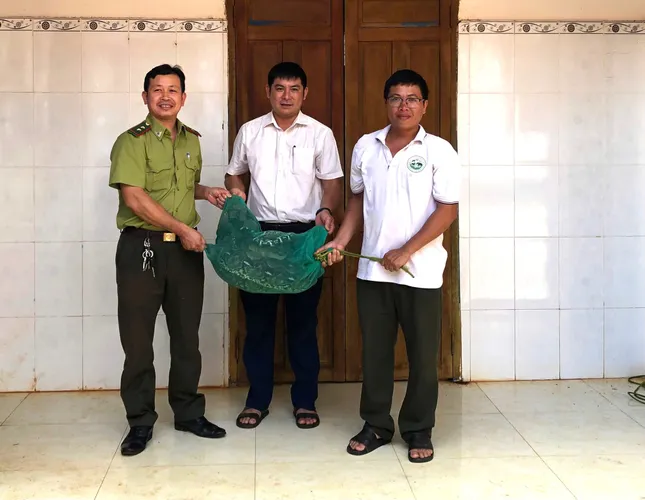 Trăn gấm quý hiếm bò vào nhà dân bắt gà trong đêm ảnh 1