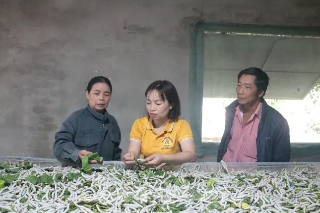 Đa cây, đa con giúp bà con vùng sâu phát triển kinh tế ảnh 1