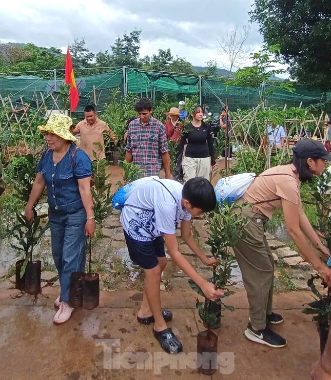 Tuổi trẻ Đắk Lắk lan tỏa tinh thần sống xanh ảnh 8