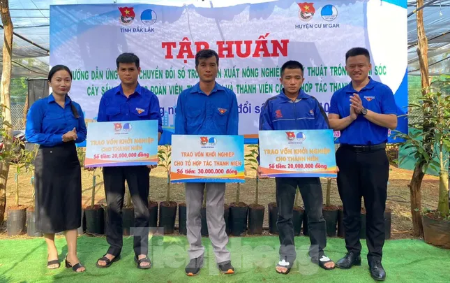 Điểm tựa giúp người nghèo phát triển kinh tế ảnh 3