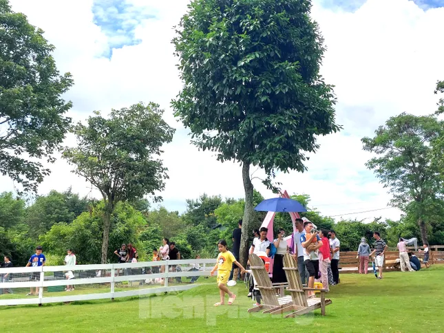 Người trẻ 'sống chậm' để gắn kết yêu thương ảnh 4