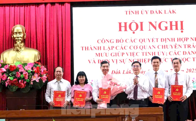 Đắk Lắk ra mắt các ban chuyên trách sau hợp nhất ảnh 1