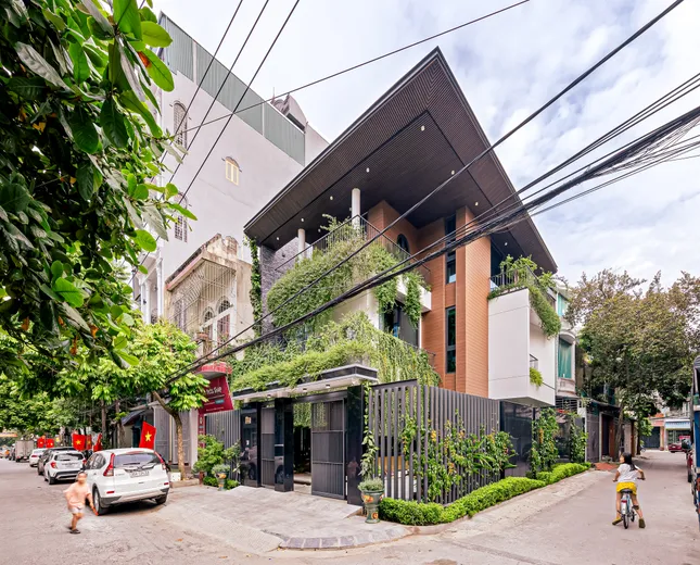 Cách đưa những 'khu vườn' len lỏi khắp nhà phố 3 tầng ảnh 1