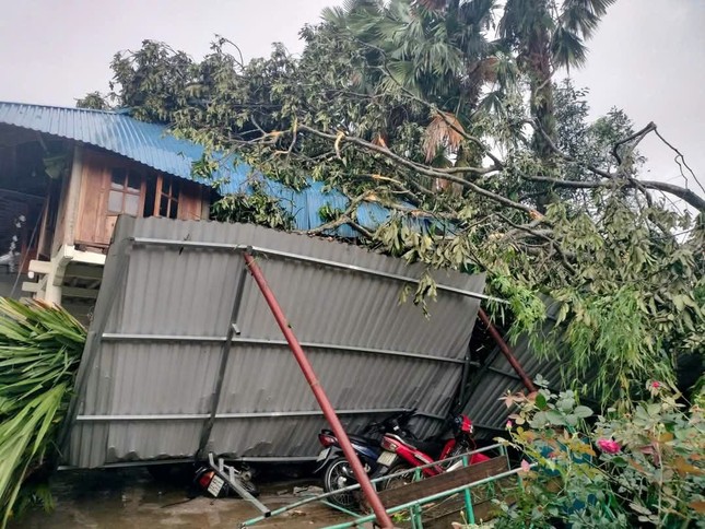 Mưa lớn, lốc xoáy tại Tuyên Quang và Lào Cai làm sập, tốc nhiều nhà dân ảnh 1