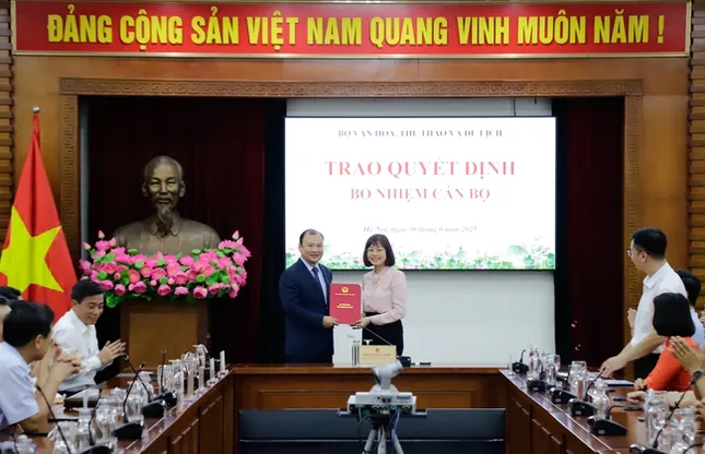 Bổ nhiệm Phó cục trưởng Cục Du lịch quốc gia Việt Nam ảnh 1