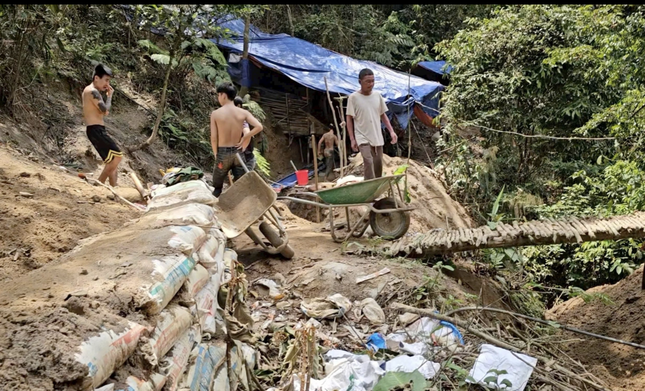 Đề nghị đánh sập, phá hủy các hầm, lò &apos;vàng tặc&apos; ảnh 2