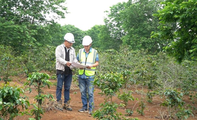 Dự án điện gió hơn 2.000 tỷ đồng ở Quảng Trị vướng giải phóng mặt bằng, huyện sẽ cưỡng chế thu hồi đất ảnh 1