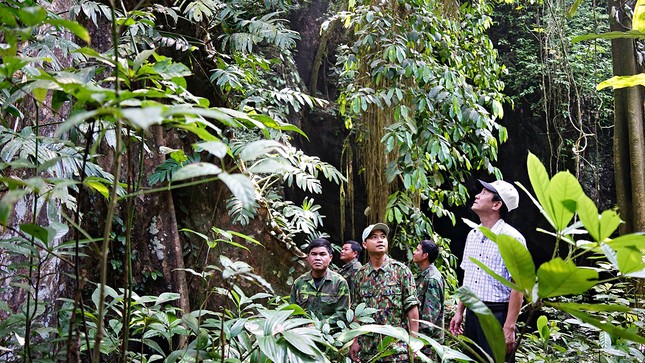 Bảo tồn loài gỗ trắc, giáng hương quý ở miền Tây Quảng Trị ảnh 1