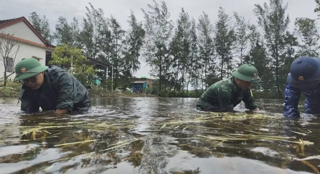 Bộ đội giúp người dân vùng biên khắc phục hậu quả mưa lũ ảnh 5