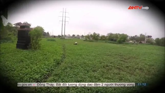 Sợ hãi không dám ăn rau muống sau khi xem phóng sự này ảnh 17