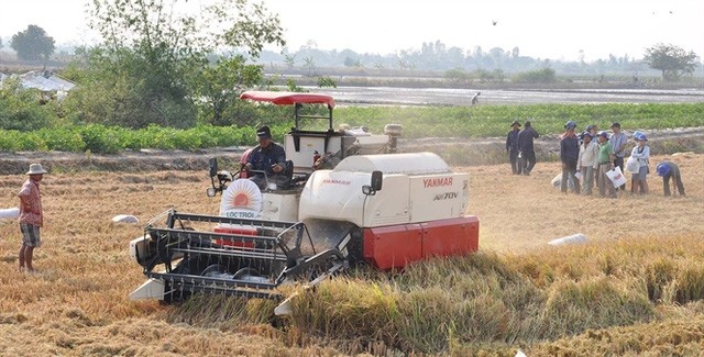 Đốt rơm rạ: Lãng phí tài nguyên, ô nhiễm môi trường ảnh 2
