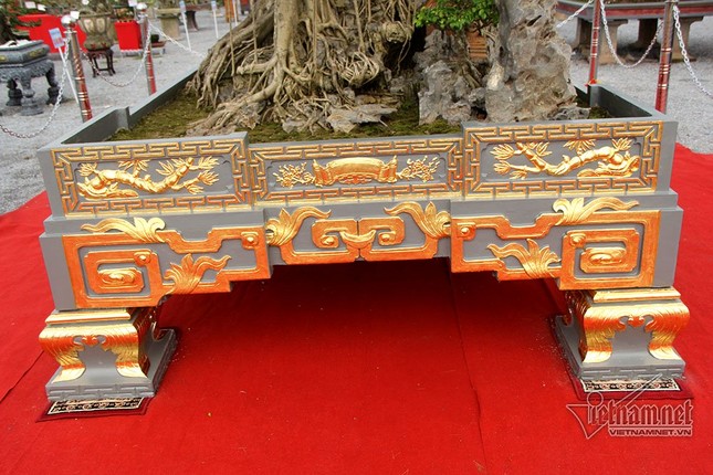 Trải thảm đỏ đón cây dát vàng 10 tỷ xôn xao khắp chốn ảnh 8