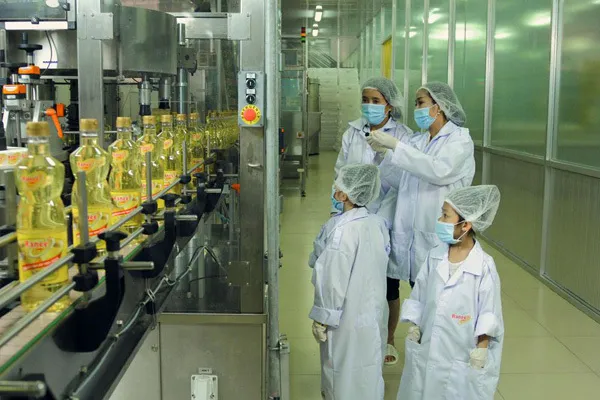 Dầu ăn 100% từ cá an toàn & chất lượng cho mọi gia đình ảnh 2