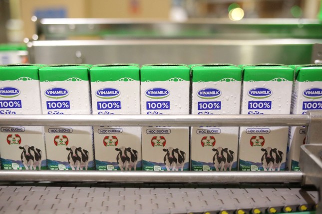 TP.HCM chính thức khởi động Chương trình Sữa học đường từ tháng 11/2019 ảnh 2