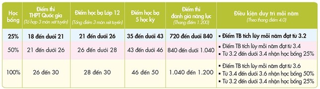 Khám phá chính sách học bổng tuyển sinh mùa COVID-19 ảnh 2