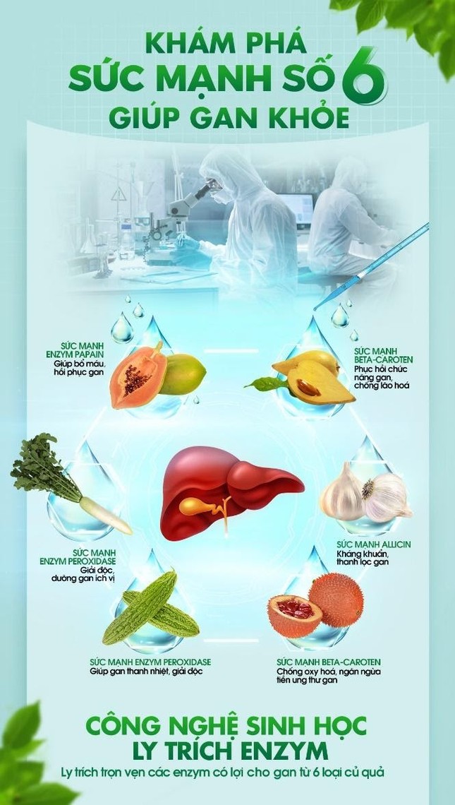 Công nghệ sinh học trong giải độc gan ảnh 2