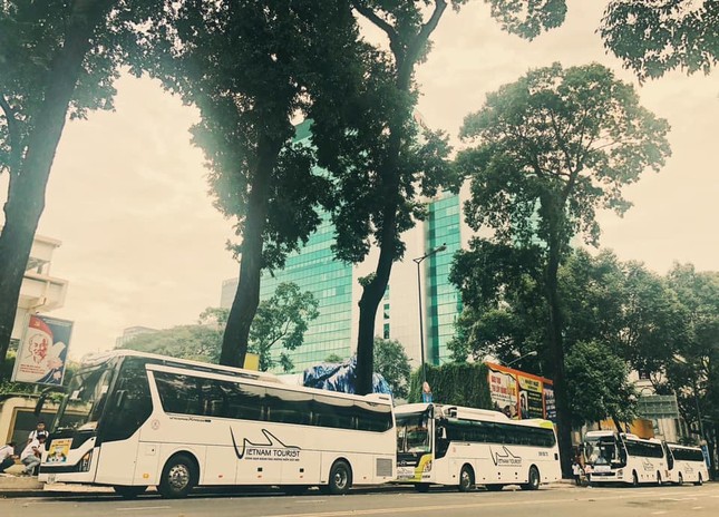 Vietnam Tourist nhà tổ chức tour chuyên nghiệp ảnh 3
