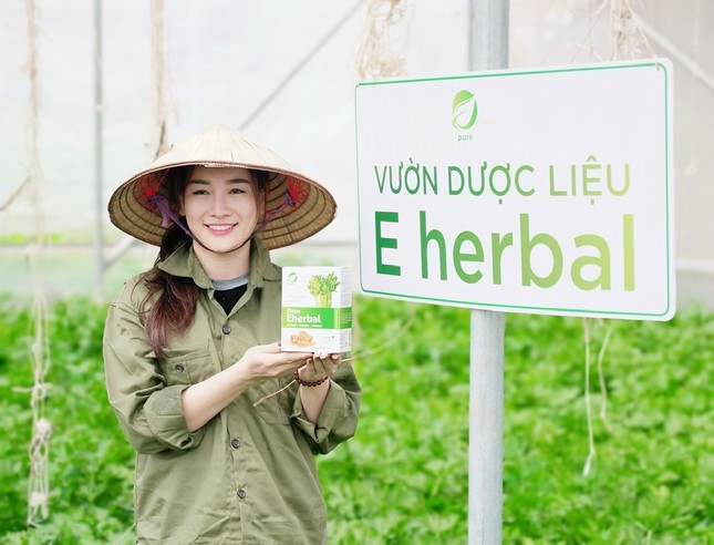 Hành trình eHerbal: Biến nông sản Việt thành niềm tự hào quốc tế ảnh 1