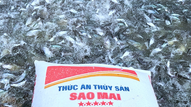 Sao Mai Super Feed cùng 'Hành trình xanh - Giá trị xanh' ảnh 4