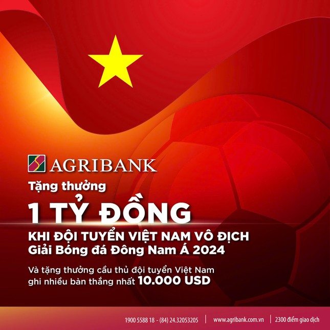 Agribank 'tiếp lửa' Đội tuyển Nam Quốc gia Việt Nam chinh phục “ngôi vương” Giải Bóng đá Đông Nam Á 2024 ảnh 1