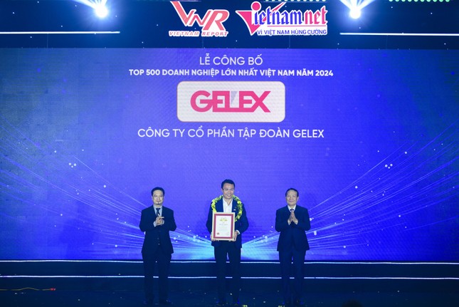 Hệ thống GELEX có 3 doanh nghiệp thuộc top VNR 500 ảnh 1