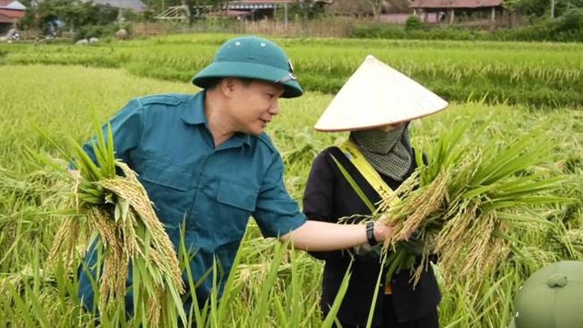 Huyện Lang Chánh (Thanh Hoá): Nỗ lực thực hiện mục tiêu phát triển kinh tế, xã hội ảnh 1