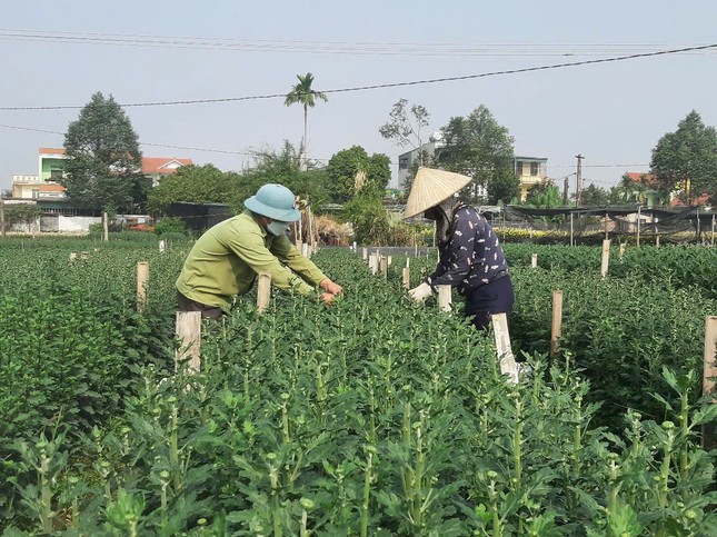 Phường Đông Cương (TP Thanh Hoá): Tích cực đẩy mạnh chuyển đổi số trong chính quyền ảnh 2