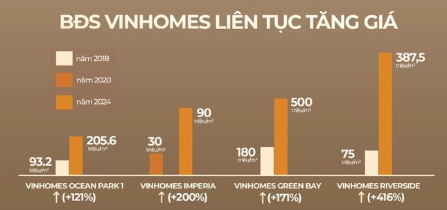 Vì sao những nhà đầu tư thành công nhất đều nắm giữ BĐS Vinhomes? ảnh 2