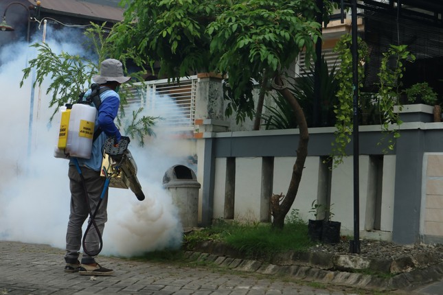 Cảnh báo nguy cơ sốt xuất huyết Dengue bùng phát trái mùa ảnh 2