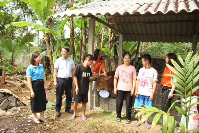 Núi Pháo hỗ trợ con giống, tạo sinh kế bền vững cho đồng bào dân tộc thiểu số ảnh 1