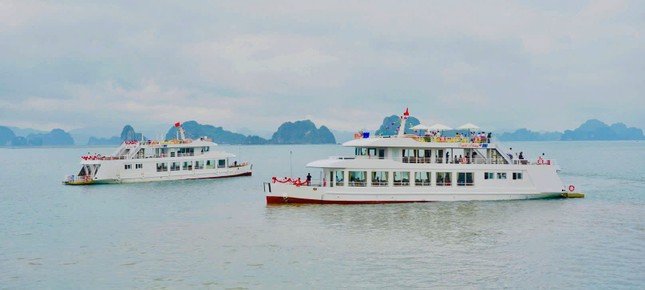 Quảng Ninh có thêm đội tàu du lịch cao cấp phục vụ khách tham quan Vịnh Bái Tử Long ảnh 2