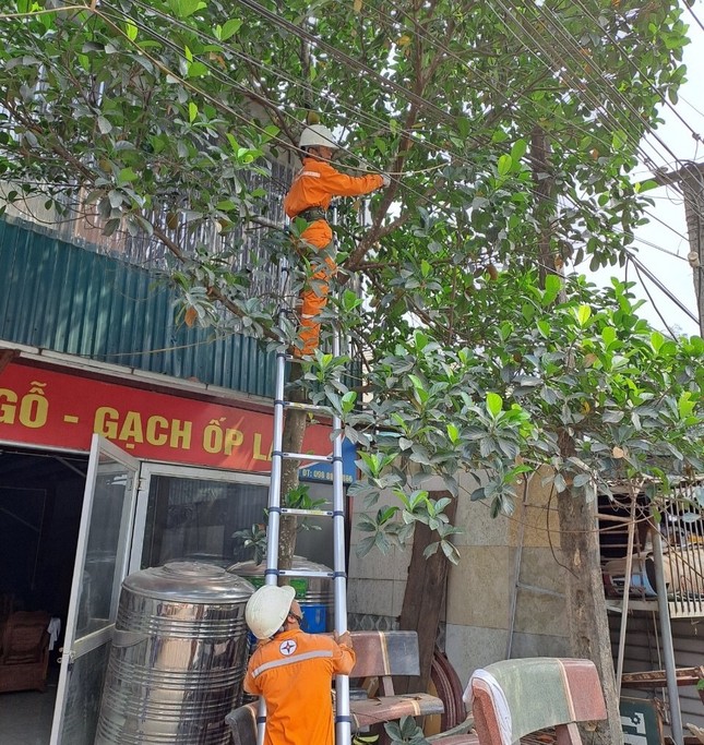 Đảm bảo an toàn tuyệt đối với hành lang lưới điện trong mọi tình huống ảnh 2