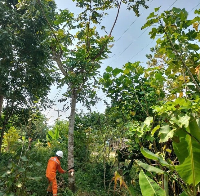 Đảm bảo an toàn tuyệt đối với hành lang lưới điện trong mọi tình huống ảnh 3