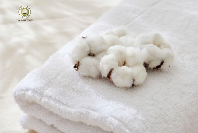 Ông Nguyễn Tự Hưng - CEO Thái Bình Towel: Cơ duyên đến với ngành hàng khăn bông là làm rể làng Mẹo ảnh 1