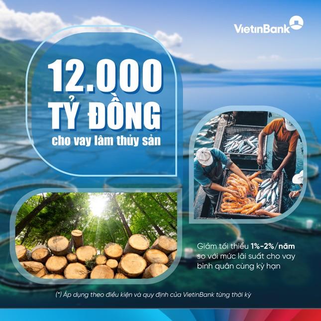 VietinBank nâng quy mô gói tín dụng, đẩy mạnh đầu tư lĩnh vực lâm, thủy sản ảnh 1