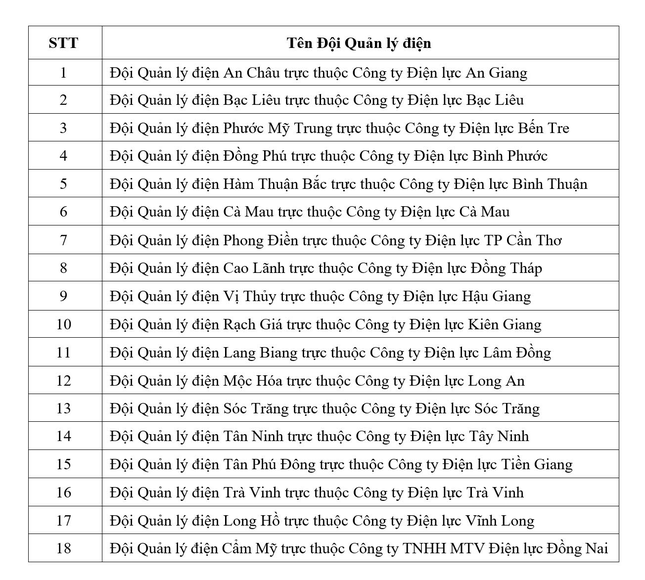 Thí điểm chuyển đổi mô hình quản lý điện tại 18 tỉnh thành phía Nam ảnh 4
