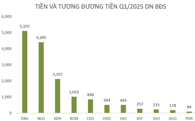 ‘Ví tiền’ của nhiều ông lớn bất động sản: Dồn tiền cho sóng hồi phục ảnh 1