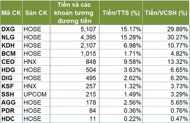 ‘Ví tiền’ của nhiều ông lớn bất động sản: Dồn tiền cho sóng hồi phục ảnh 2