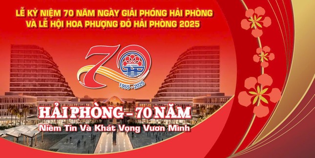 Văn Phú tài trợ tổ chức Lễ hội Hoa Phượng Đỏ thành phố Hải Phòng 2025 ảnh 1