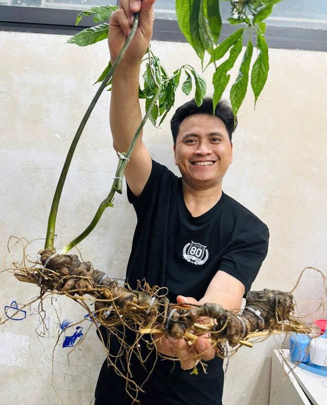 Kỹ sư bỏ công trường về vùng núi giúp bà con phát triển nguồn dược liệu ảnh 3
