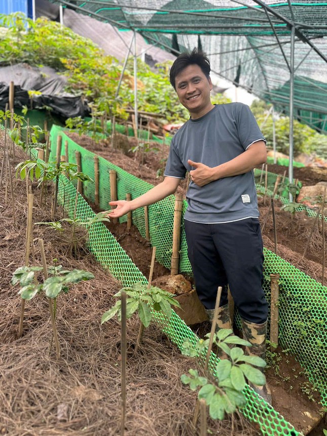 Kỹ sư bỏ công trường về vùng núi giúp bà con phát triển nguồn dược liệu ảnh 2
