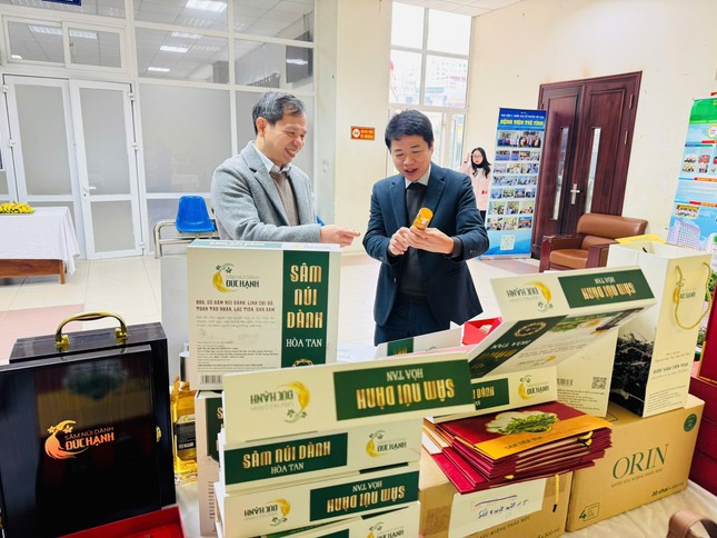 &apos;Vàng xanh&apos; ở vùng đất Tân Yên ảnh 3