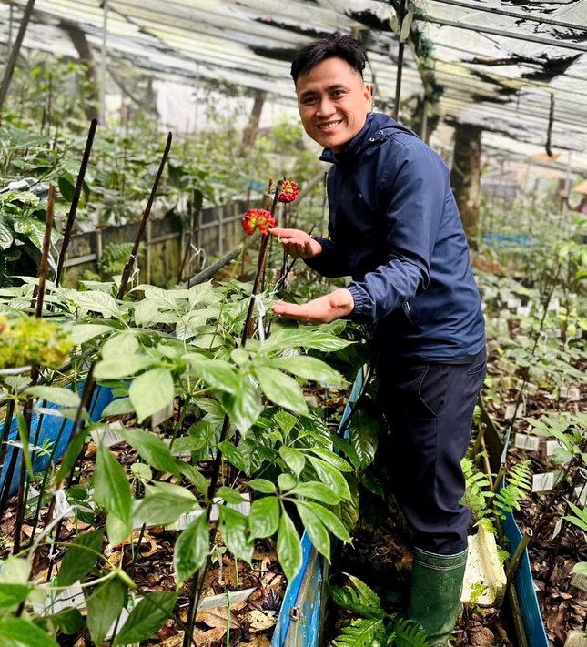 Kỹ sư bỏ công trường về vùng núi giúp bà con phát triển nguồn dược liệu ảnh 1