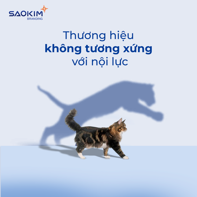 Tái định vị thương hiệu - Đừng để chiếc áo chật cản trở tầm nhìn của doanh nghiệp ảnh 1